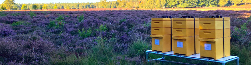 Buiskoppelingen Verzinkte Staal 33.7 mm