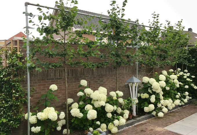 Leiboom constructie maken van Steigerbuis (TIP)